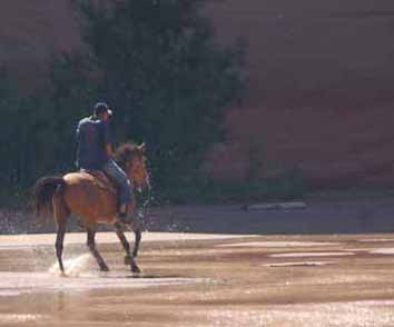 Navajo horse rider on canyon floor